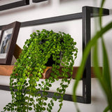 Wall Shelf Elio HomeHaven Brown LxBxH 41x33x12 Acacia wood Nnb